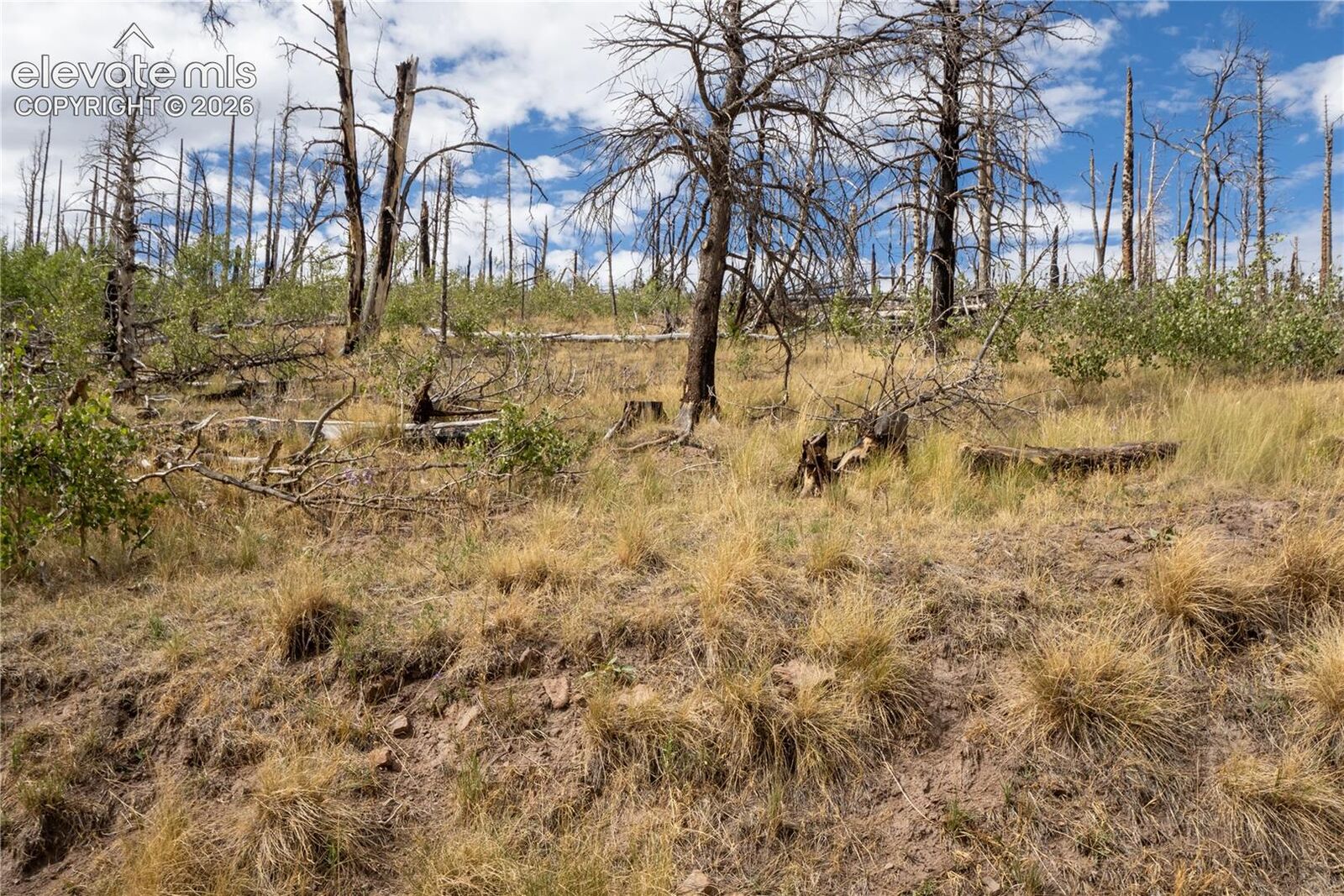 Property Photo:  Lot 2748 Grojean Drive  CO 81133 