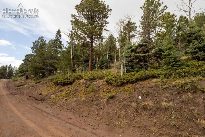 Property Photo:  Lot 2797 Moir Drive  CO 81133 