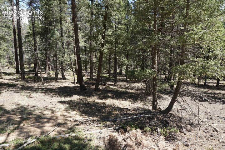 Property Photo:  616 Indian Creek Road  CO 80816 