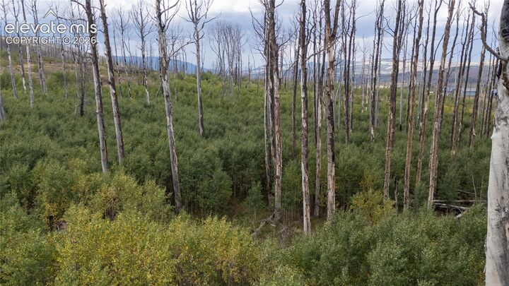 Property Photo:  Lot 1947 Hilda Lane  CO 81133 