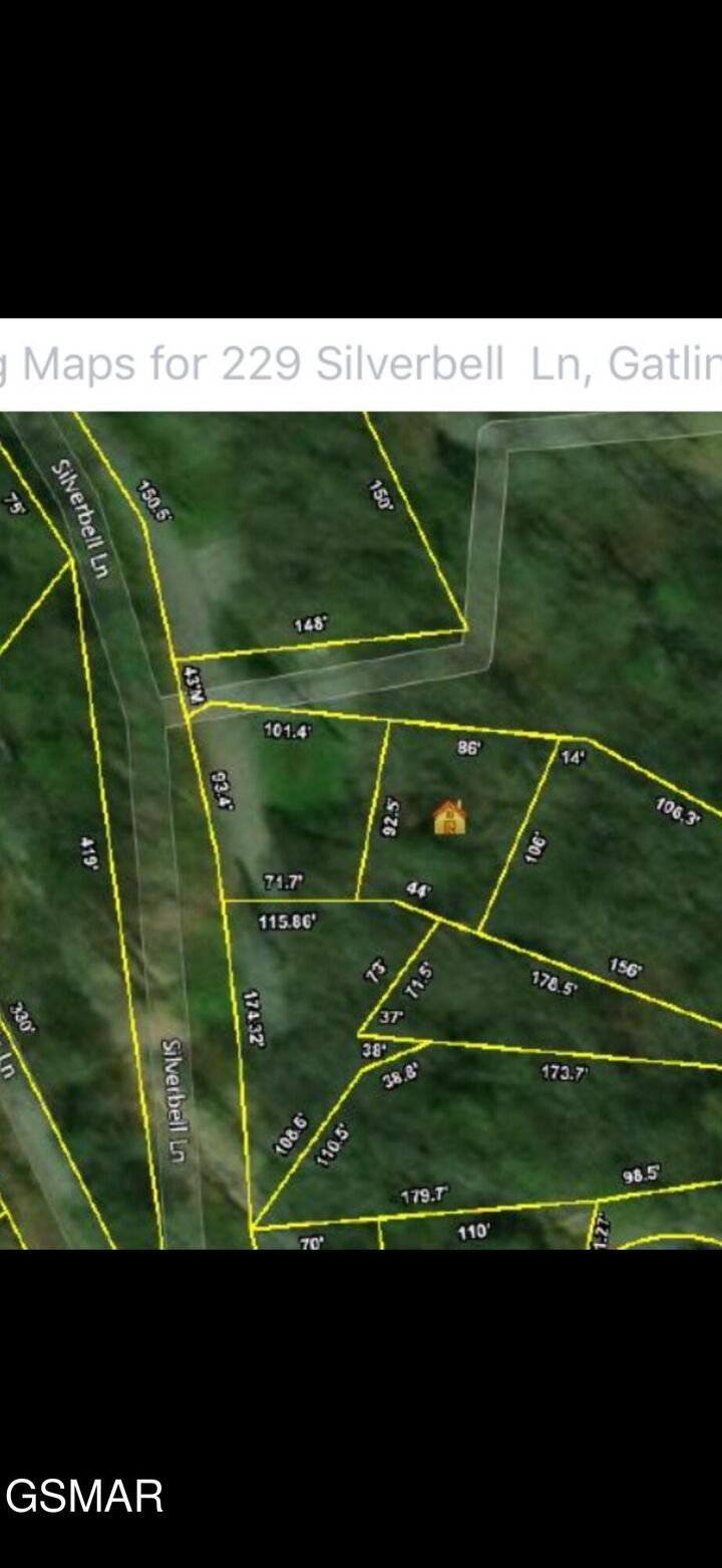 Property Photo: 229 Silverbell Lane TN 37738