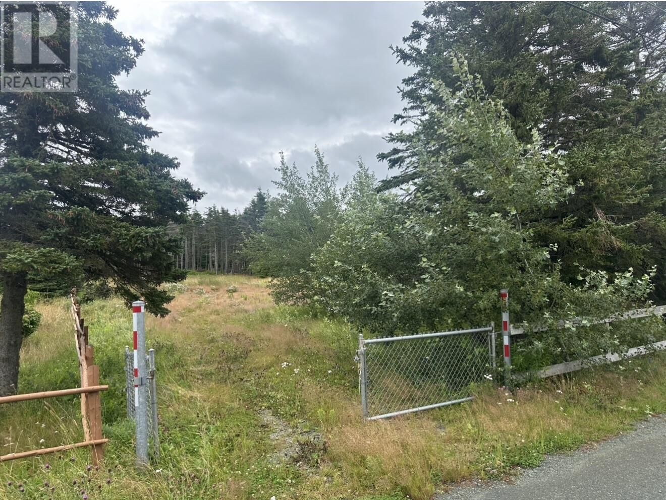 Property Photo:  19 Dobbin's Road  NL A0A 4H0 