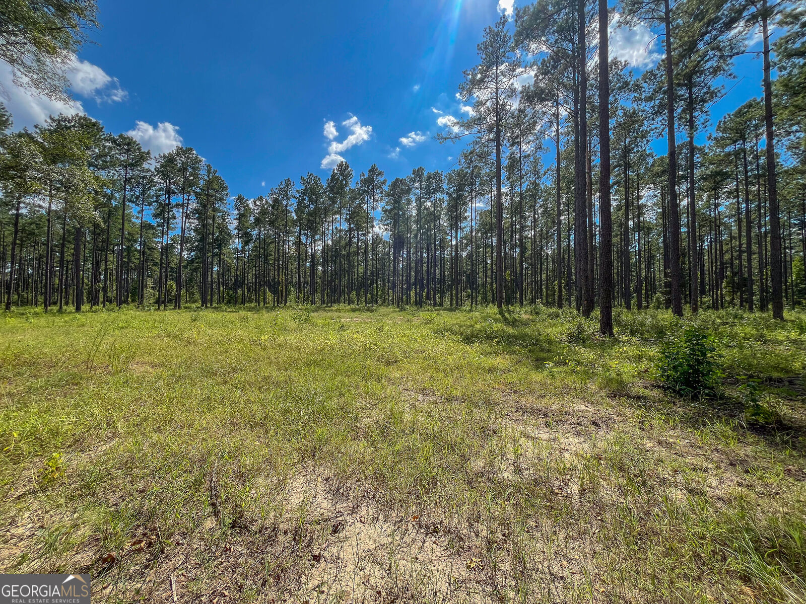 Property Photo: 0 Mark Wood Road Lot 7 GA 31019