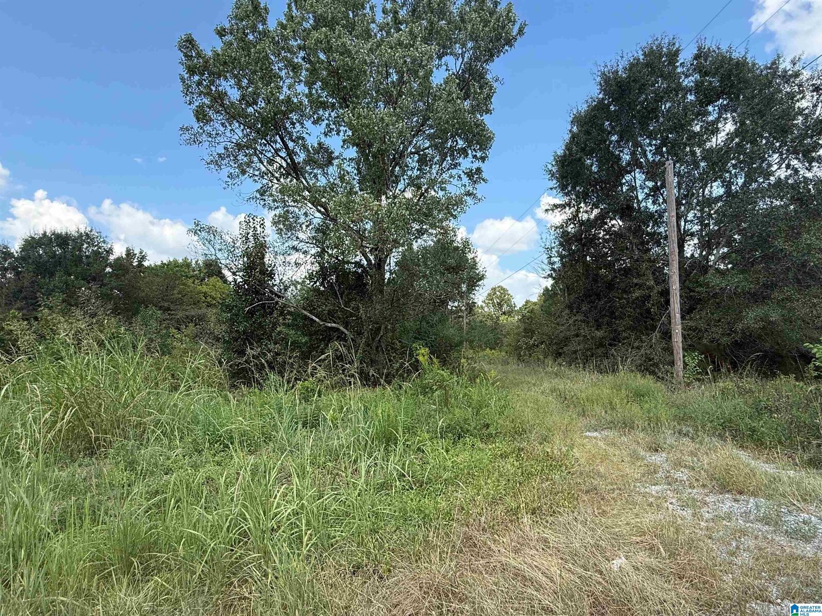 Property Photo:  4.6 Highway 278 1  AL 35055 
