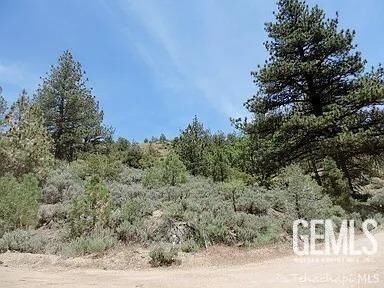 Property Photo:  16300 Jungfrau Way  CA 93561 