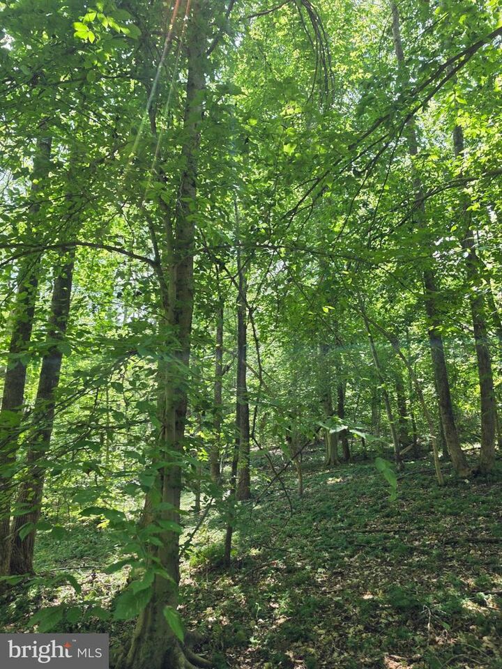 Property Photo:  Johnson Hollow  VA 23093 