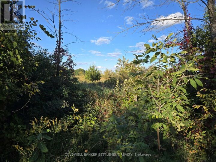Property Photo:  5 Bush Road  ON K0G 1E0 