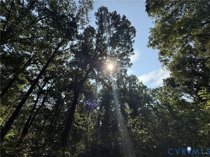Property Photo: 1198 Lickinghole Road VA 23063