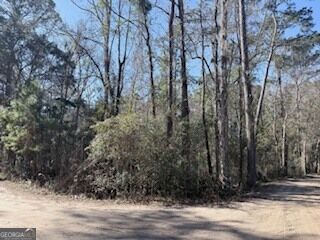 Property Photo: 138-140 Dogwood Lane GA 31320