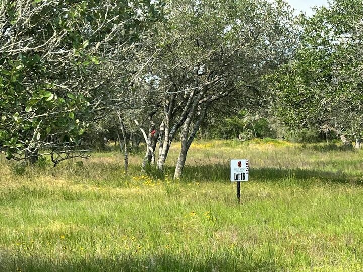 Property Photo: 0 Pintail Lane TX 78934