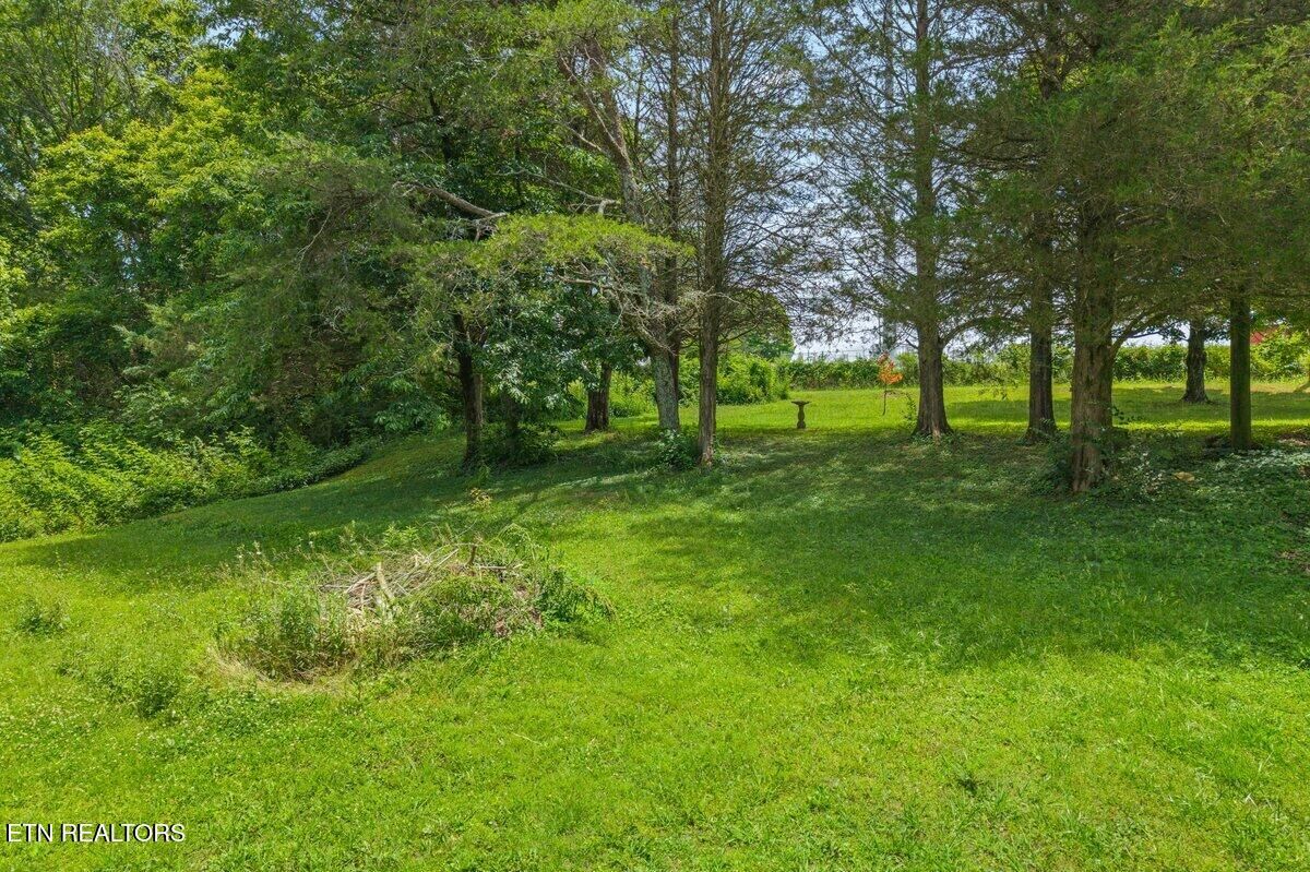 Property Photo: 0 Buck Brown St TN 37329
