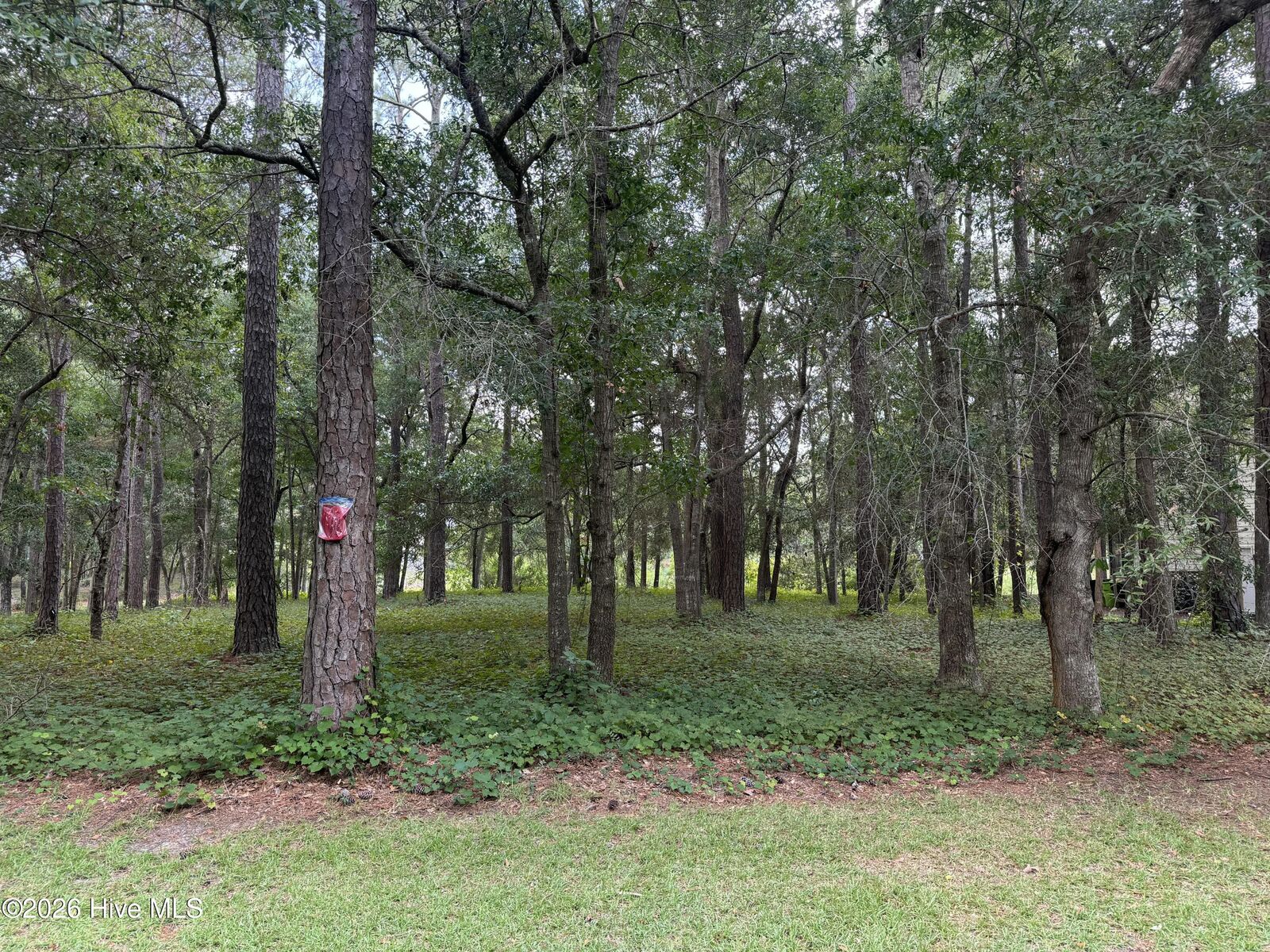 Property Photo:  3055 103 Channel Drive SE  NC 28422 