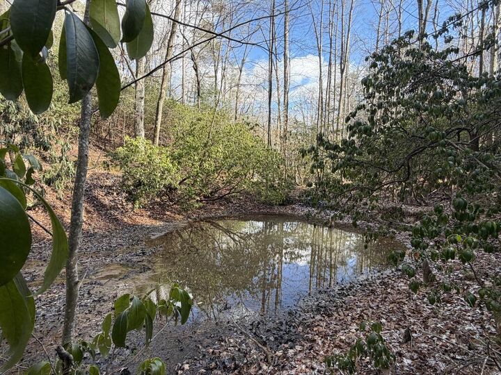 Property Photo: 636 Bear Paw Trail GA 30513