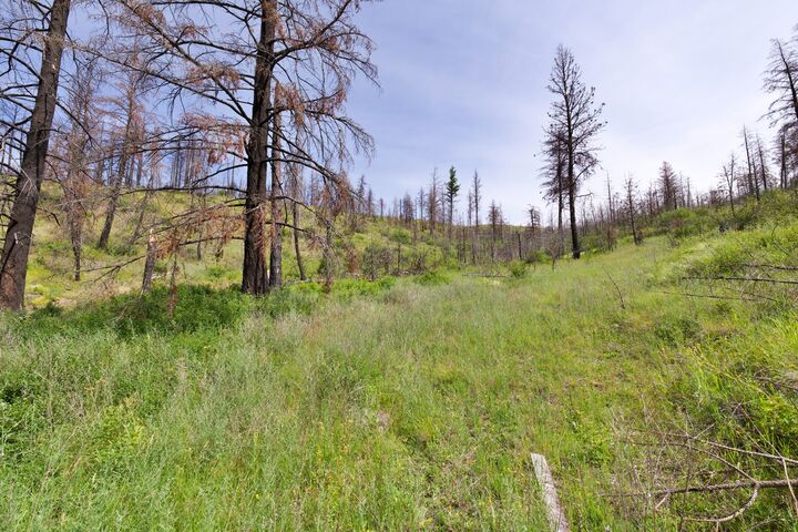 Property Photo: 185 Lower Lamaraux Creek Road MT 59856