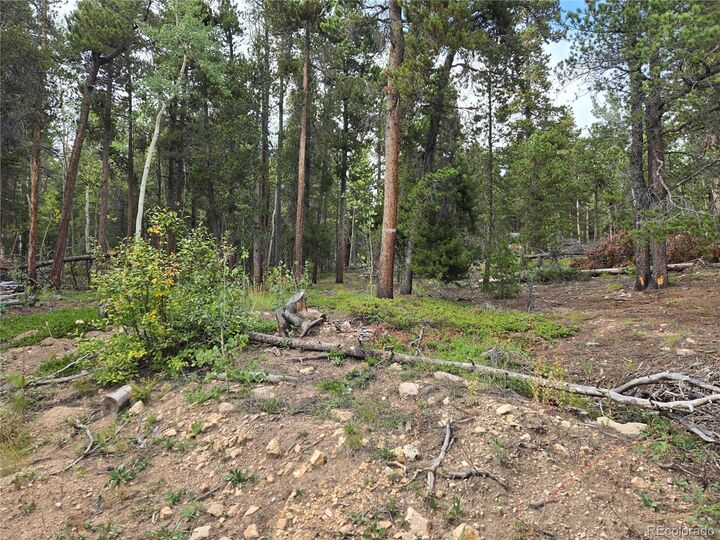 Property Photo:  001 Tiber  CO 80422 