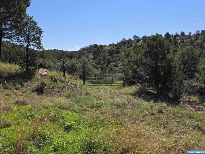 Property Photo:  37-X4 Black Dog Road  NM 88061 