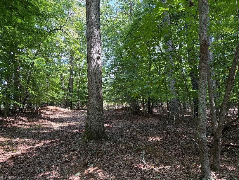 Property Photo: 00 Bear Creek Church Road NC 27028