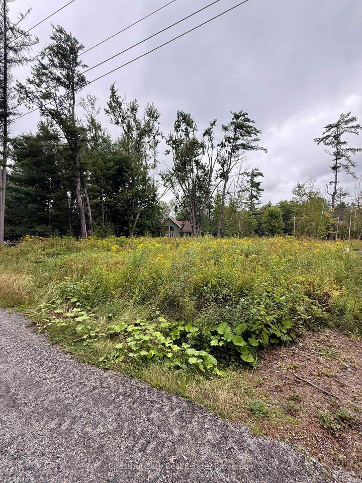 Property Photo:  1006 Chippawa Avenue  ON P1P 1R1 
