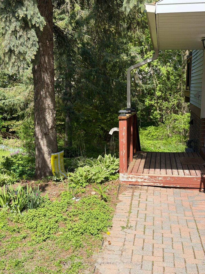 Property Photo:  12 Wiles Court Basement  ON L4G 3N5 