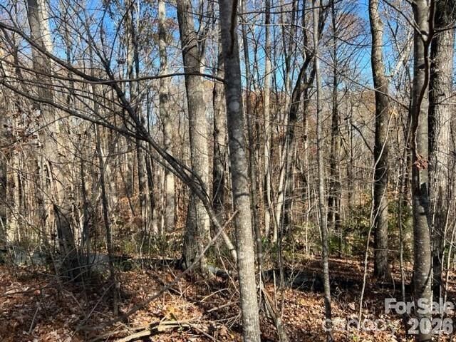 Property Photo:  Tbd Trail Ridge Drive 113  NC 28752 