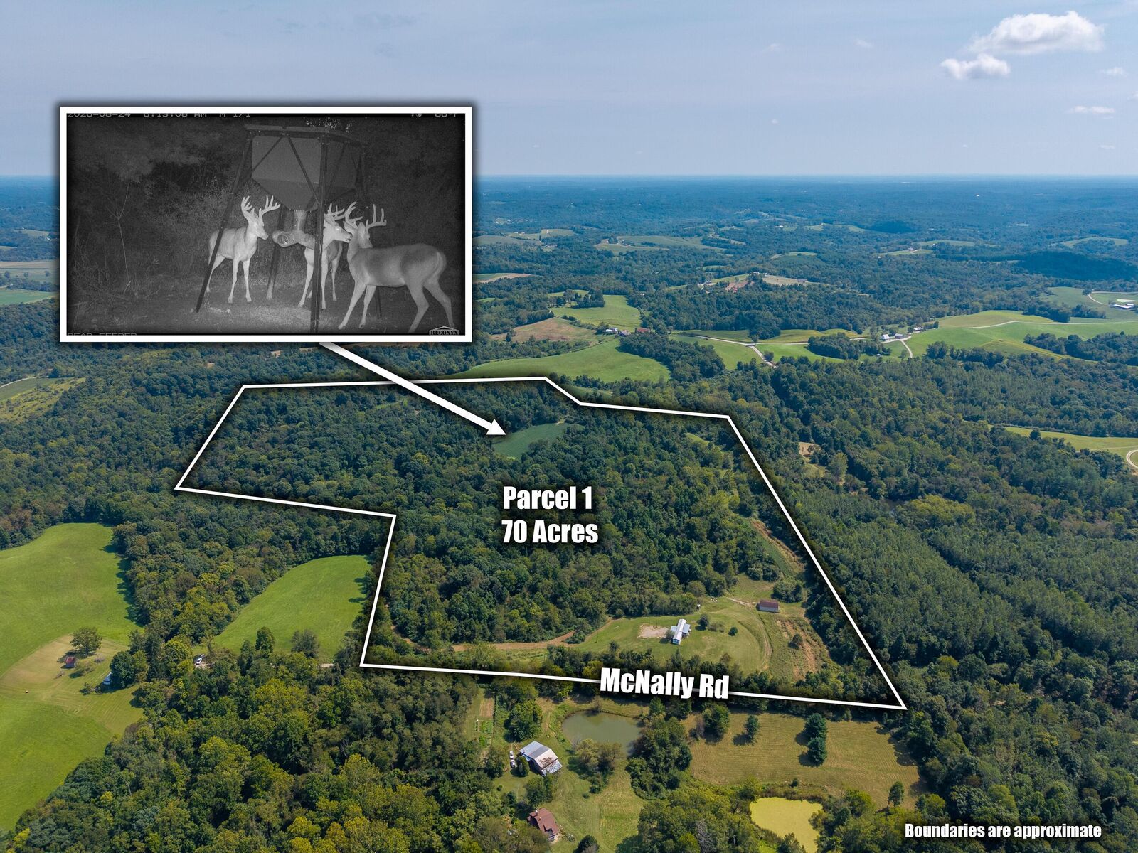 Property Photo: 3930 McNally Road OH 43787