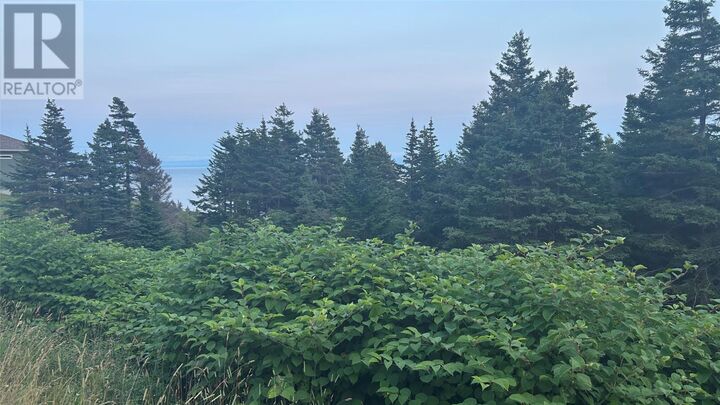 Property Photo:  485 Oceanview Drive  NL A0N 1T1 