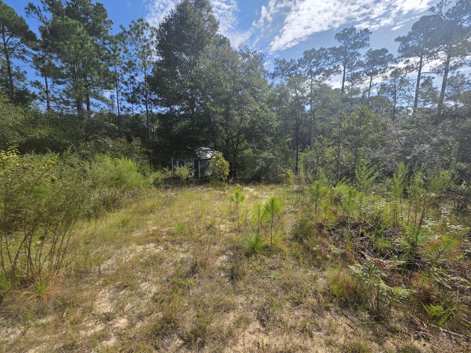 Property Photo:  Lot 48 Clearwater Drive  FL 32433 