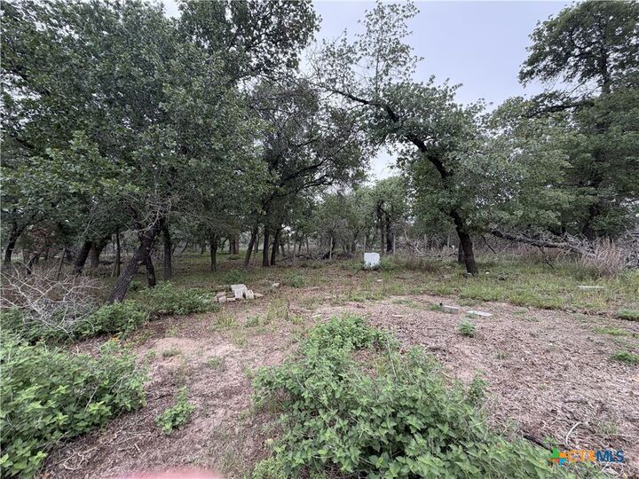 Property Photo:  105 Clear Spring Springs  TX 78114 