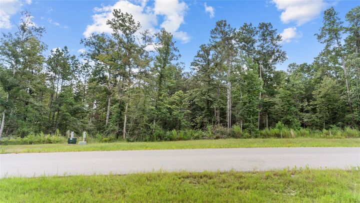 Property Photo: 194 Exploration Road TX 77378