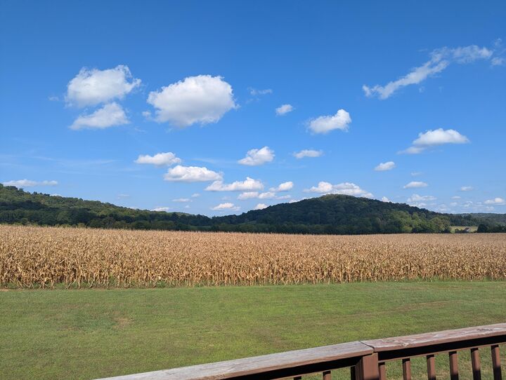 Property Photo:  248 Harts Place Drive  KY 42501 