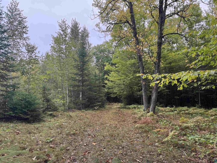Property Photo: Xxx S Dump Rd WI 54854