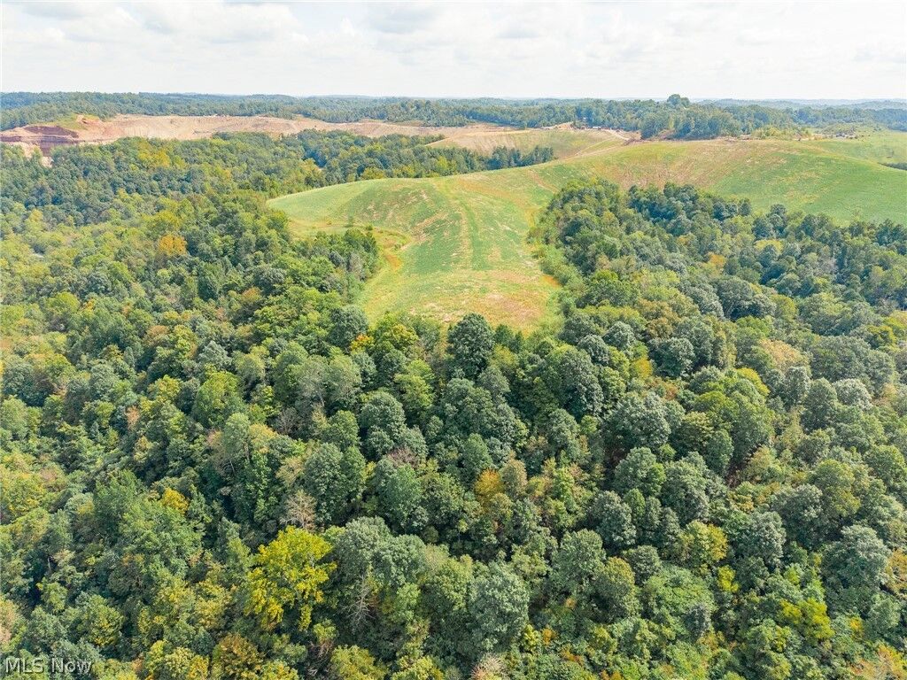 Property Photo:  37500 Goose Run Road 3  OH 45727 