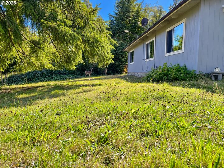 Property Photo:  99330 S Bank Chetco River Rd  OR 97415 