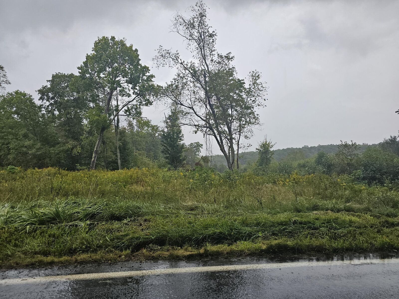 Property Photo:  Rt 31  WV 25831 