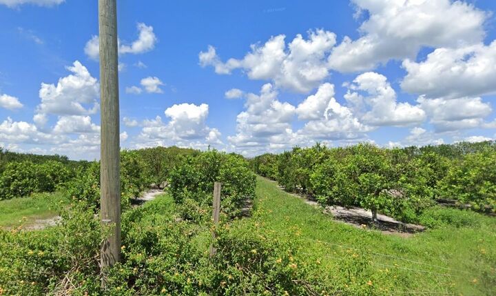 Property Photo: Holopaw Groves Road FL 34773