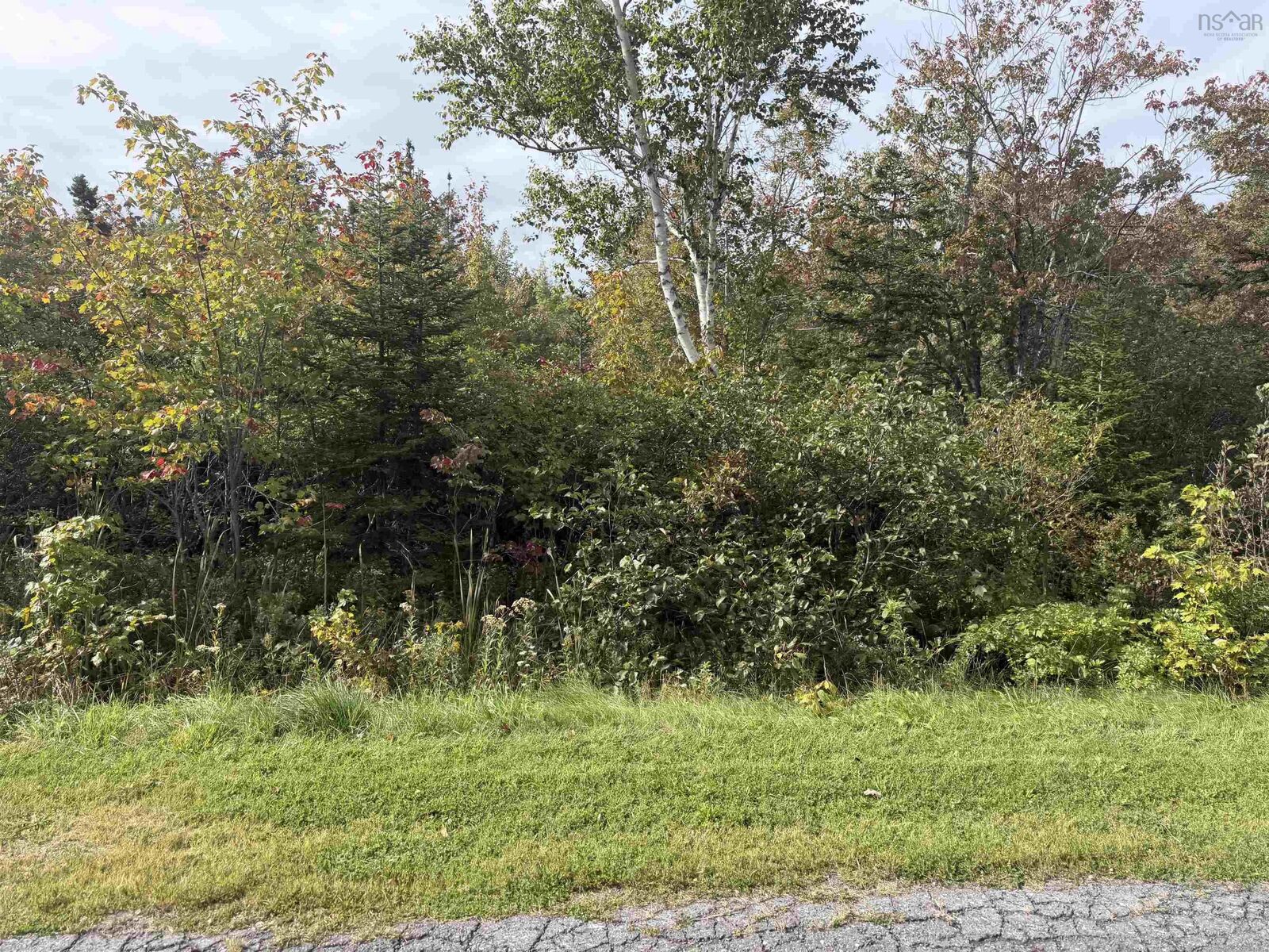 Property Photo:  Lot25 Schaller Drive  NS B1L 1A1 