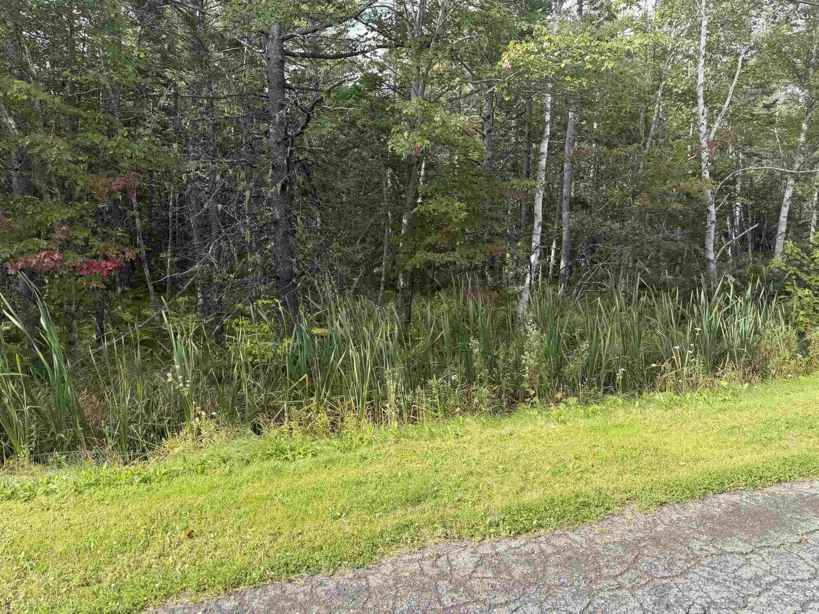 Property Photo:  Schaller Drive  NS B1L 1A1 