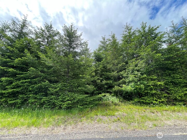 Property Photo:  0 Nka  Finkas Road  WA 98649 