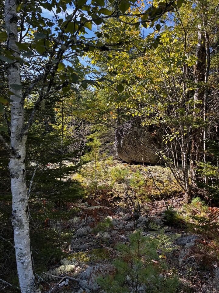 Property Photo: Lot #14/15 Bailey Mountain Road ME 04634