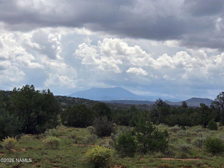 Property Photo: 6437 Bird Dog Circle AZ 86046