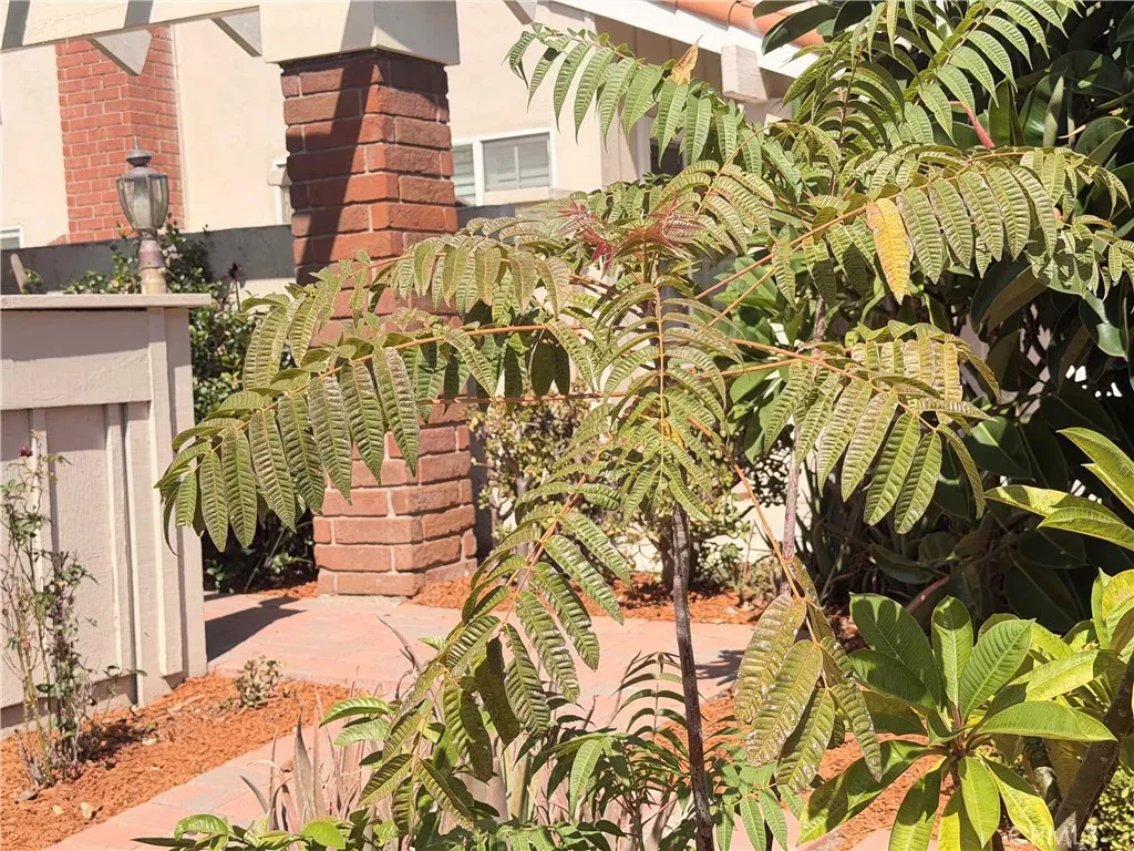 Property Photo: 14391 Gibraltar Ave. CA 92606