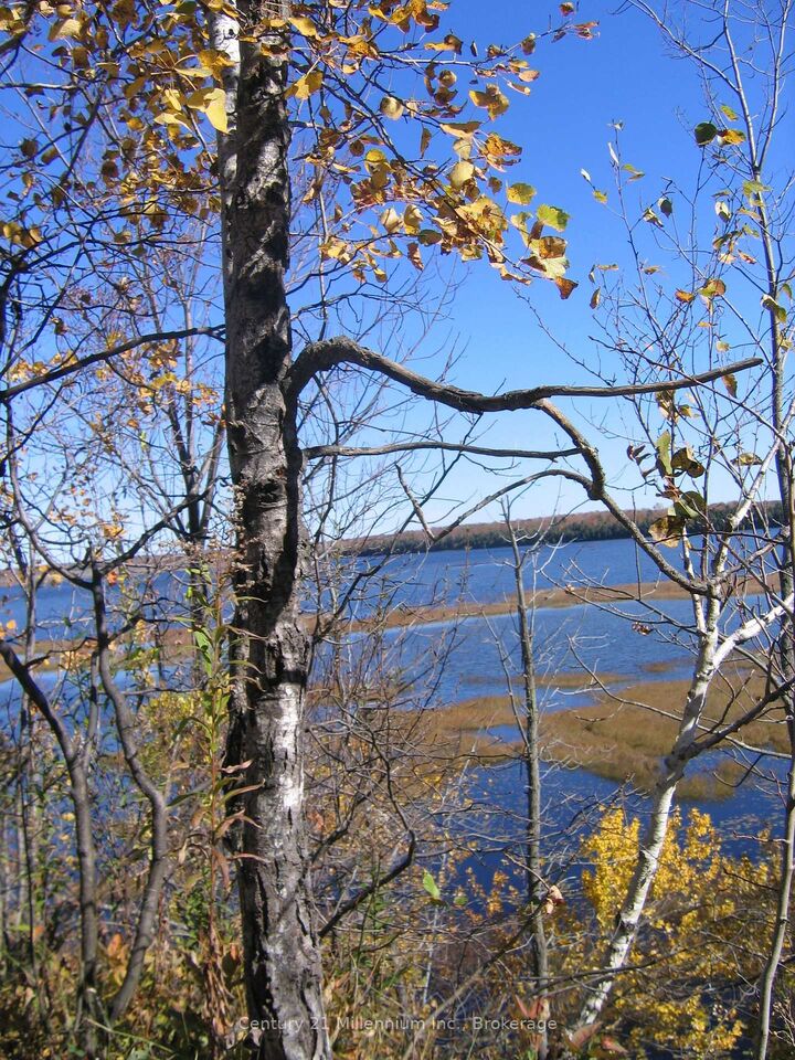 Property Photo: 0 Lt 26 Con 2 Wbr Albemarle Concession ON N0H 2T0