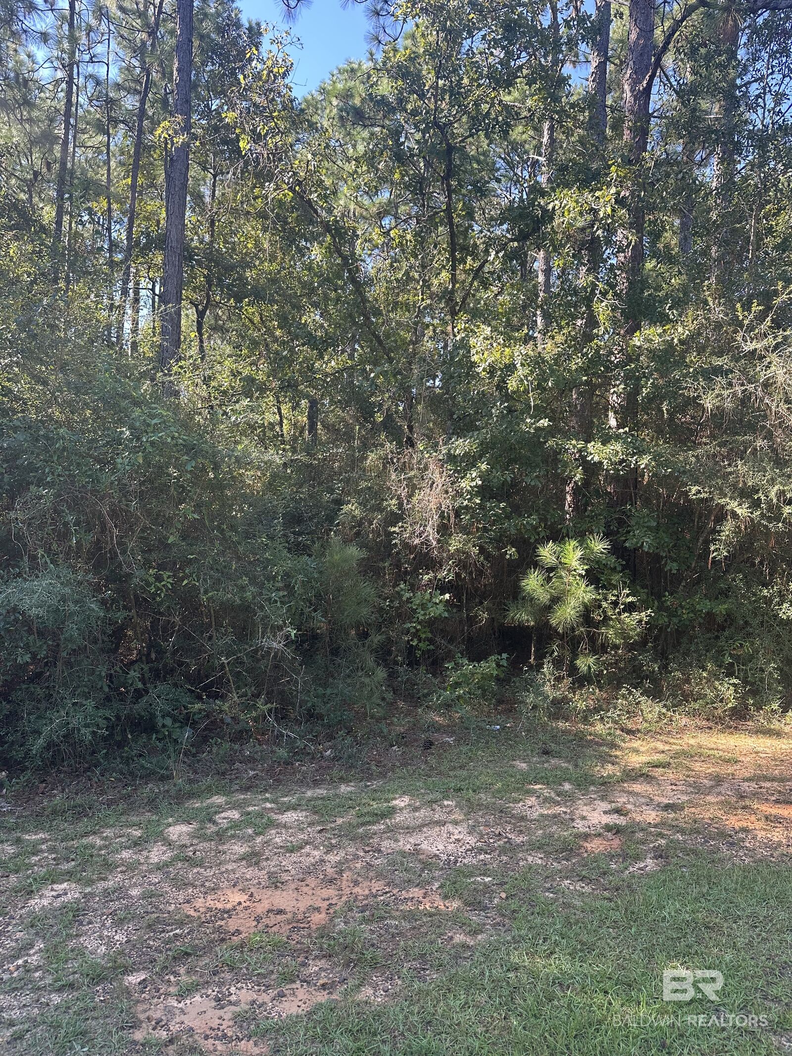 Property Photo: 0 Northshore Drive AL 36507