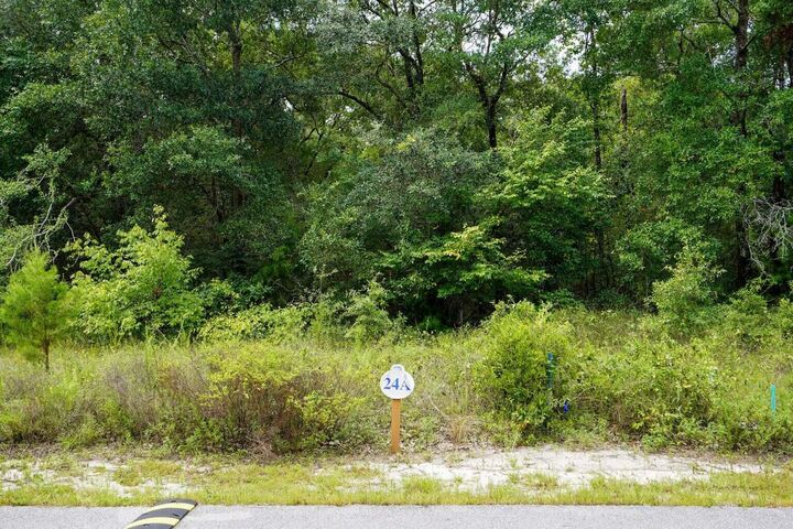 Property Photo:  Lot 23 Hibernate Way  FL 32439 
