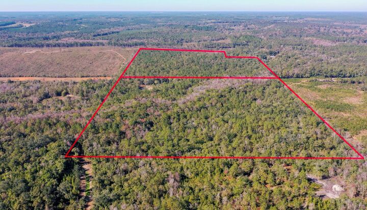 Property Photo:  75 Acres N Florida 81  FL 32455 
