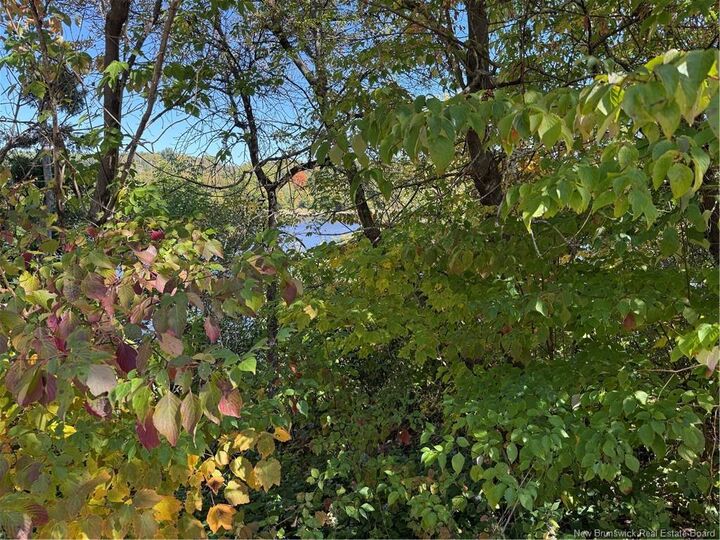 Property Photo: 33 Bath Ferry Road NB E7L 3S7