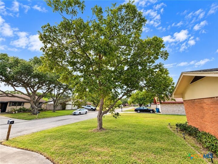 Property Photo: 114 Linnville Drive TX 77979