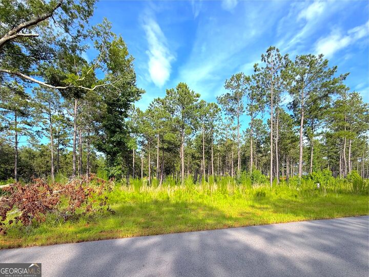 Property Photo: 224 Whispering Ridge Lot 14 GA 31061