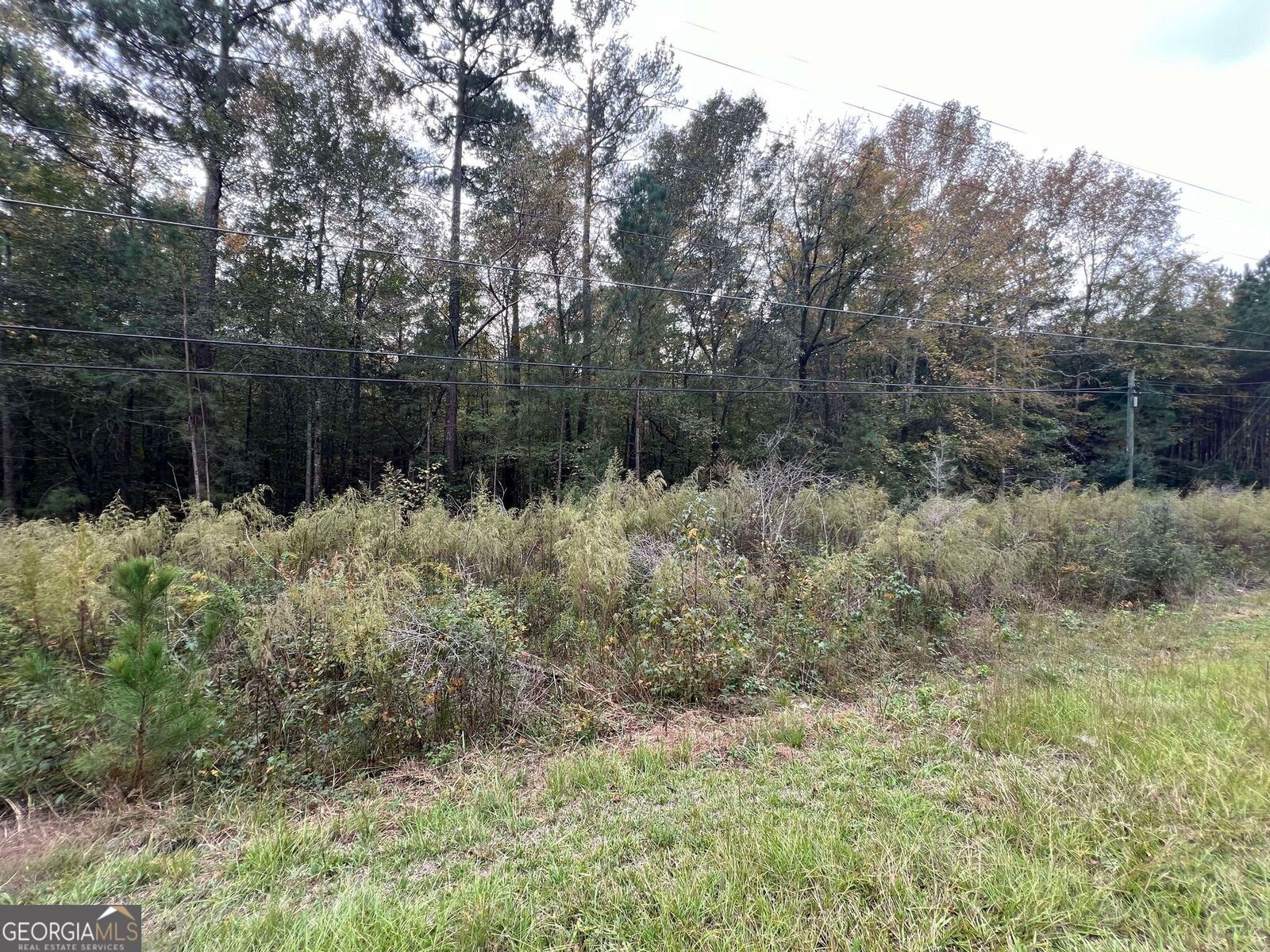 Property Photo:  0 Owens Drive  GA 30094 