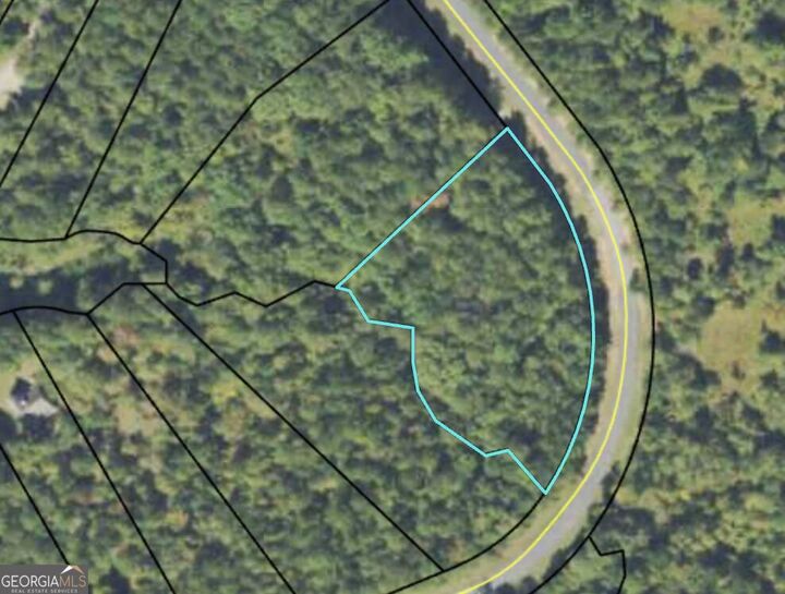 Property Photo: 0 Lakecrest Drive Lot# 59 GA 31087